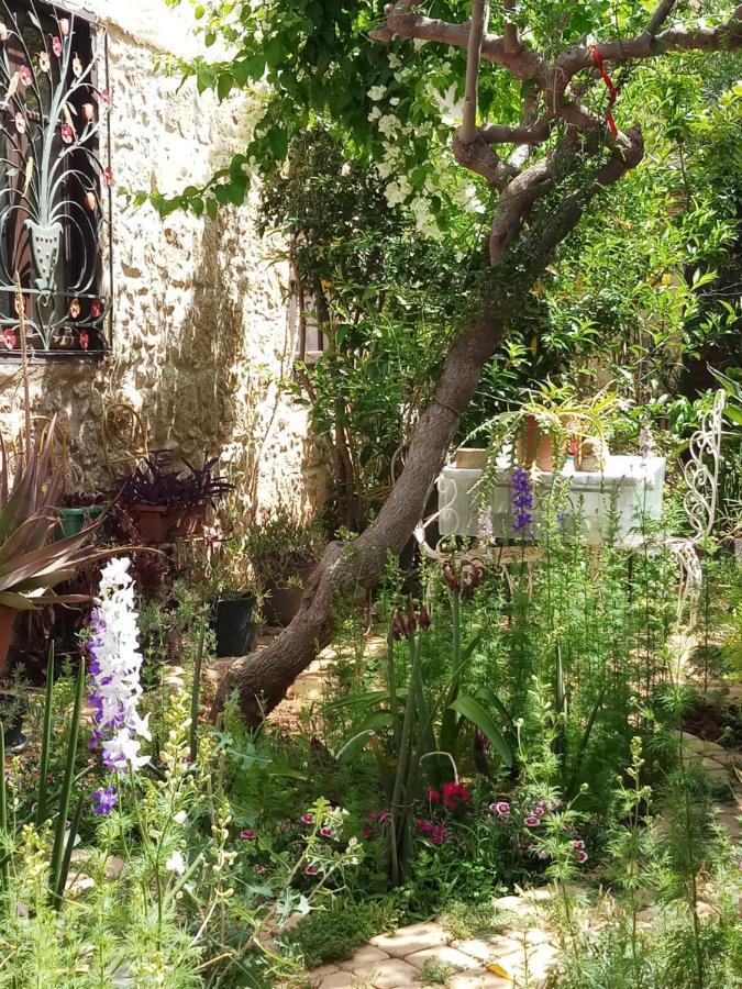 Mystery Garden Guest House 法马古斯塔 外观 照片