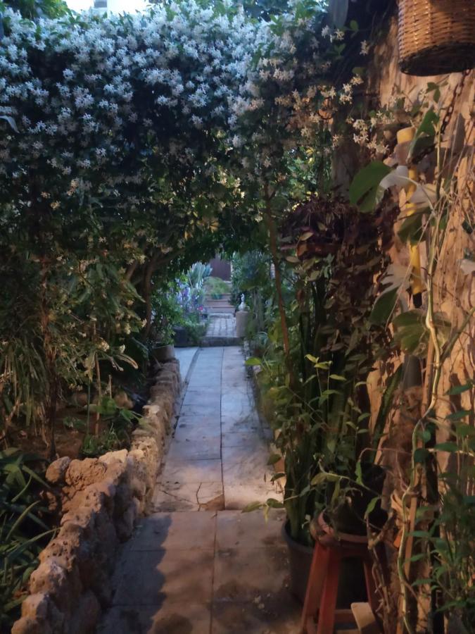 Mystery Garden Guest House 法马古斯塔 外观 照片