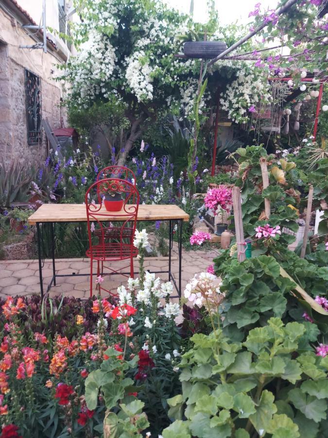 Mystery Garden Guest House 法马古斯塔 外观 照片