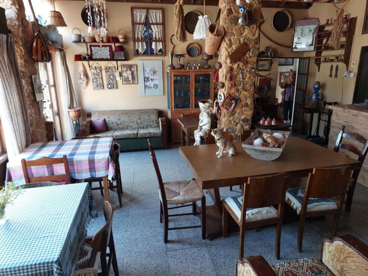 Mystery Garden Guest House 法马古斯塔 外观 照片