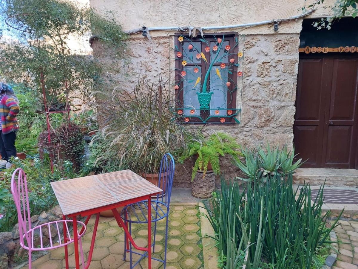 Mystery Garden Guest House 法马古斯塔 外观 照片