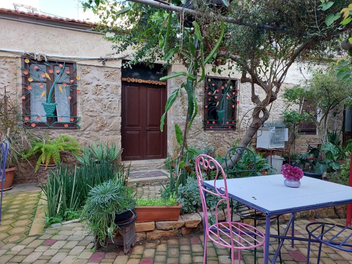 Mystery Garden Guest House 法马古斯塔 外观 照片