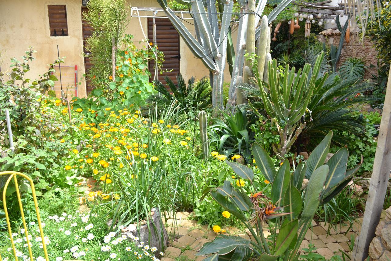 Mystery Garden Guest House 法马古斯塔 外观 照片