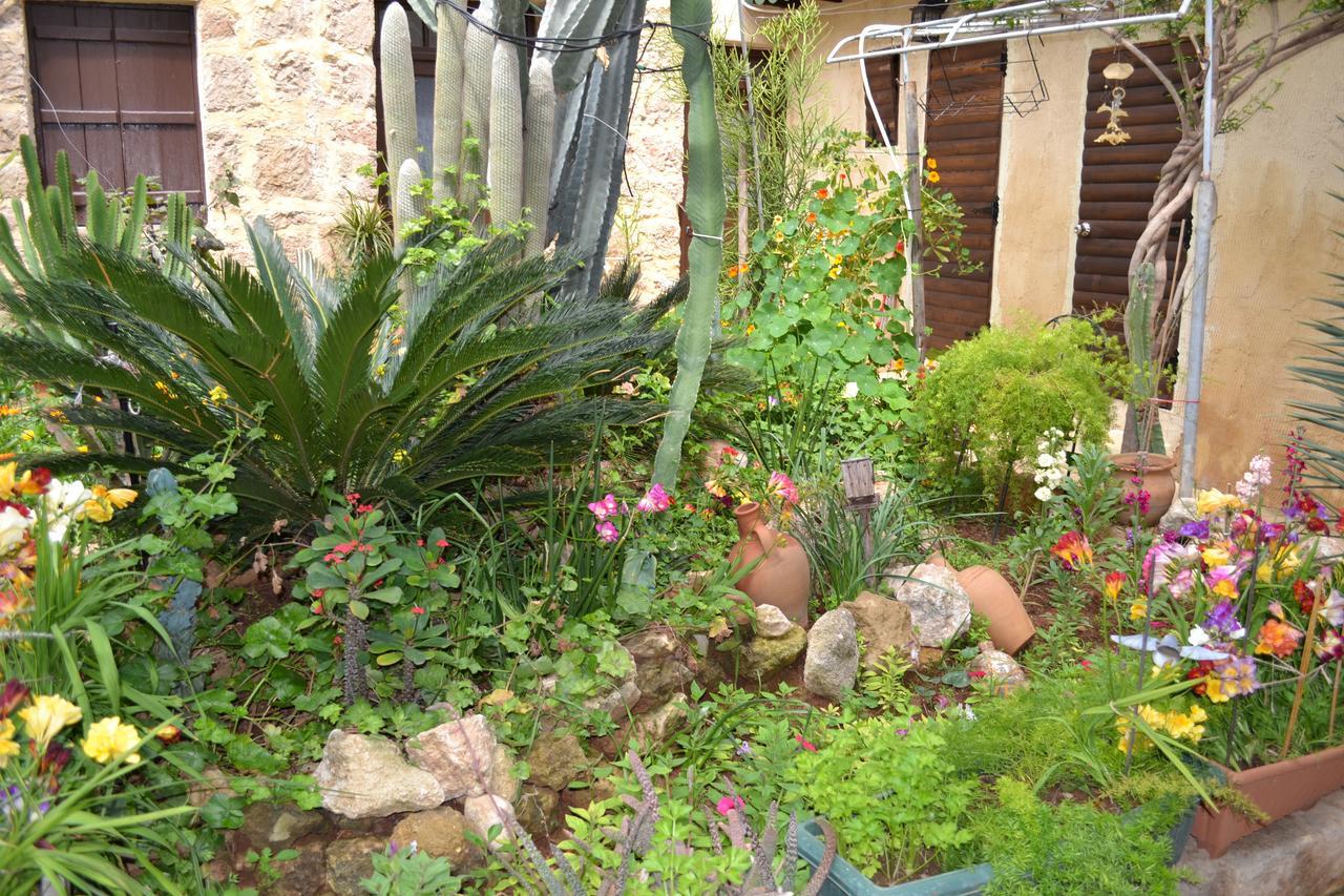 Mystery Garden Guest House 法马古斯塔 外观 照片