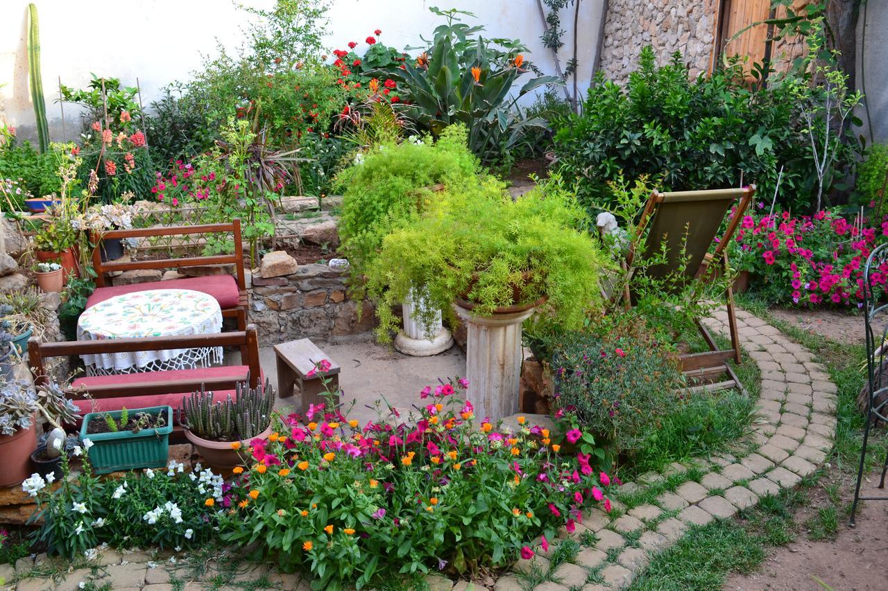 Mystery Garden Guest House 法马古斯塔 外观 照片