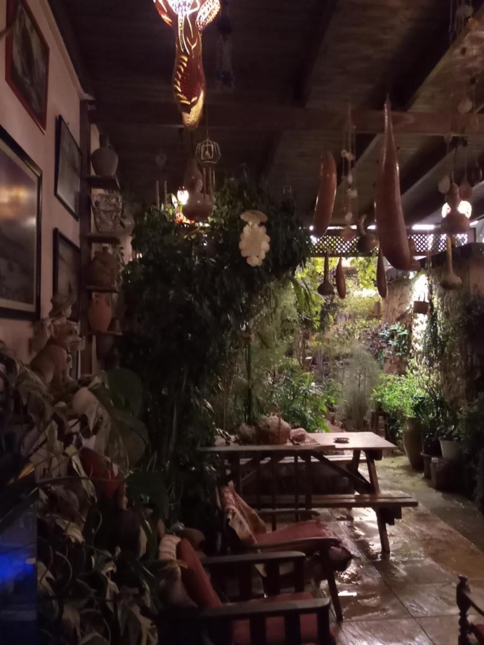 Mystery Garden Guest House 法马古斯塔 外观 照片