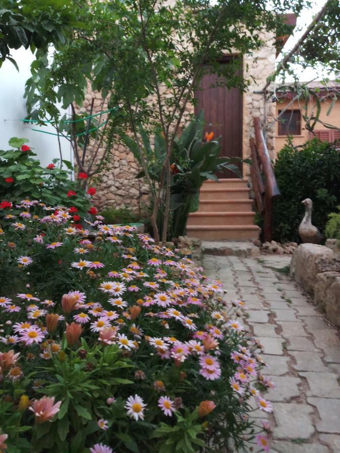 Mystery Garden Guest House 法马古斯塔 外观 照片